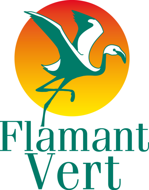 FLAMANT VERT